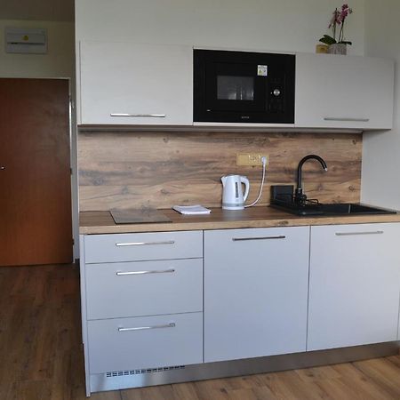 Apartman Benesovka Vacov 外观 照片