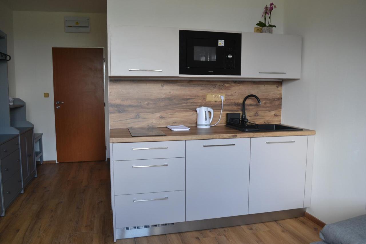 Apartman Benesovka Vacov 外观 照片